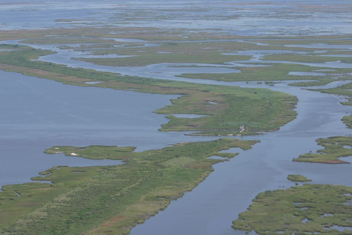 Winding channels and green marsh on the Louisiana coast seen from the air